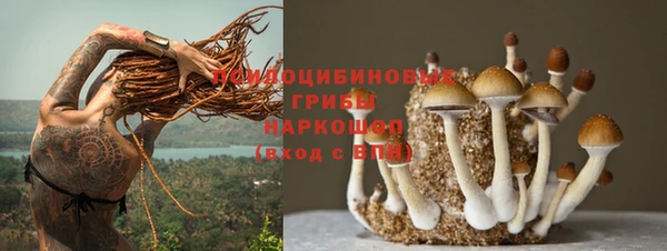 прущая мука Богородск