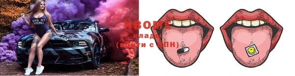 гашик Бородино