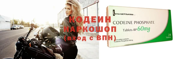 ECSTASY Богданович