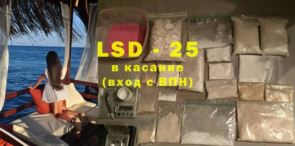 ECSTASY Богданович