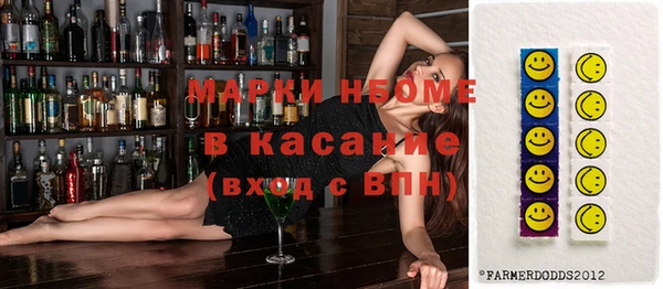 гашик Бородино
