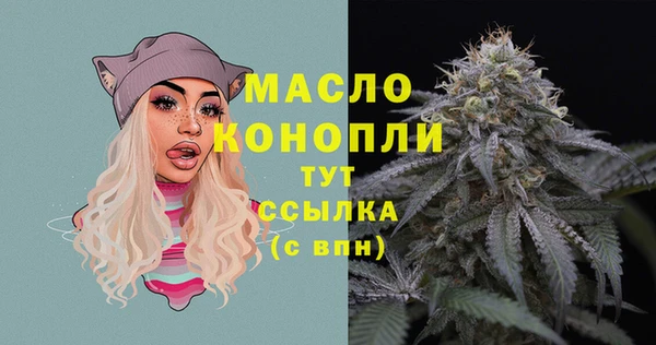 ECSTASY Богданович
