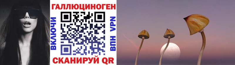 MEGA tor  Медвежьегорск  Галлюциногенные грибы мицелий 